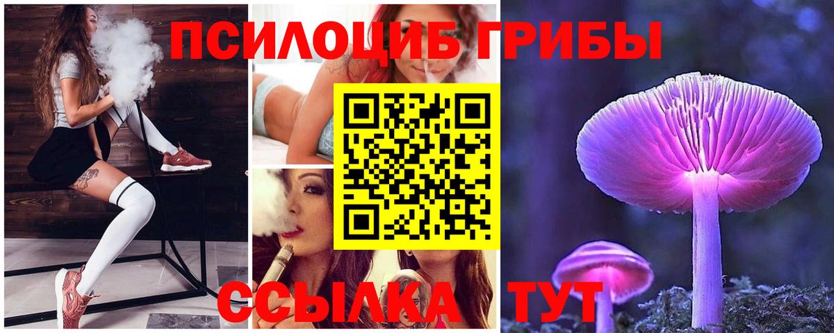 Галлюциногенные грибы Psilocybine cubensis  купить  сайты  Кыштым  Вход с VPN 